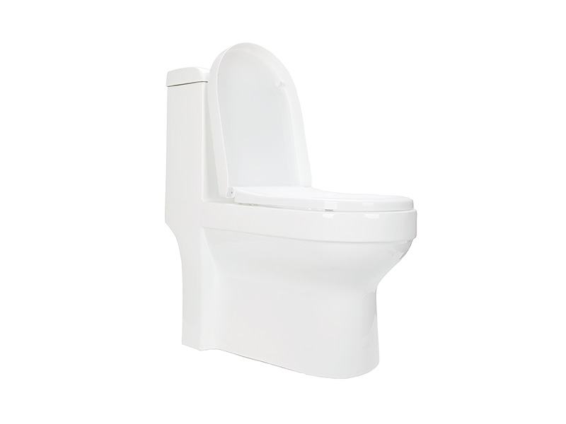智能發(fā)泡坐便器 ABJ-F109